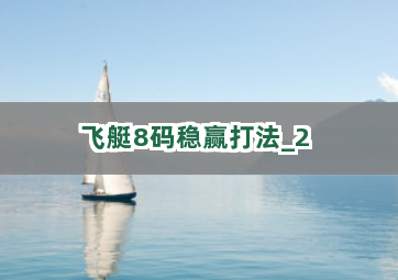 飞艇8码稳赢打法